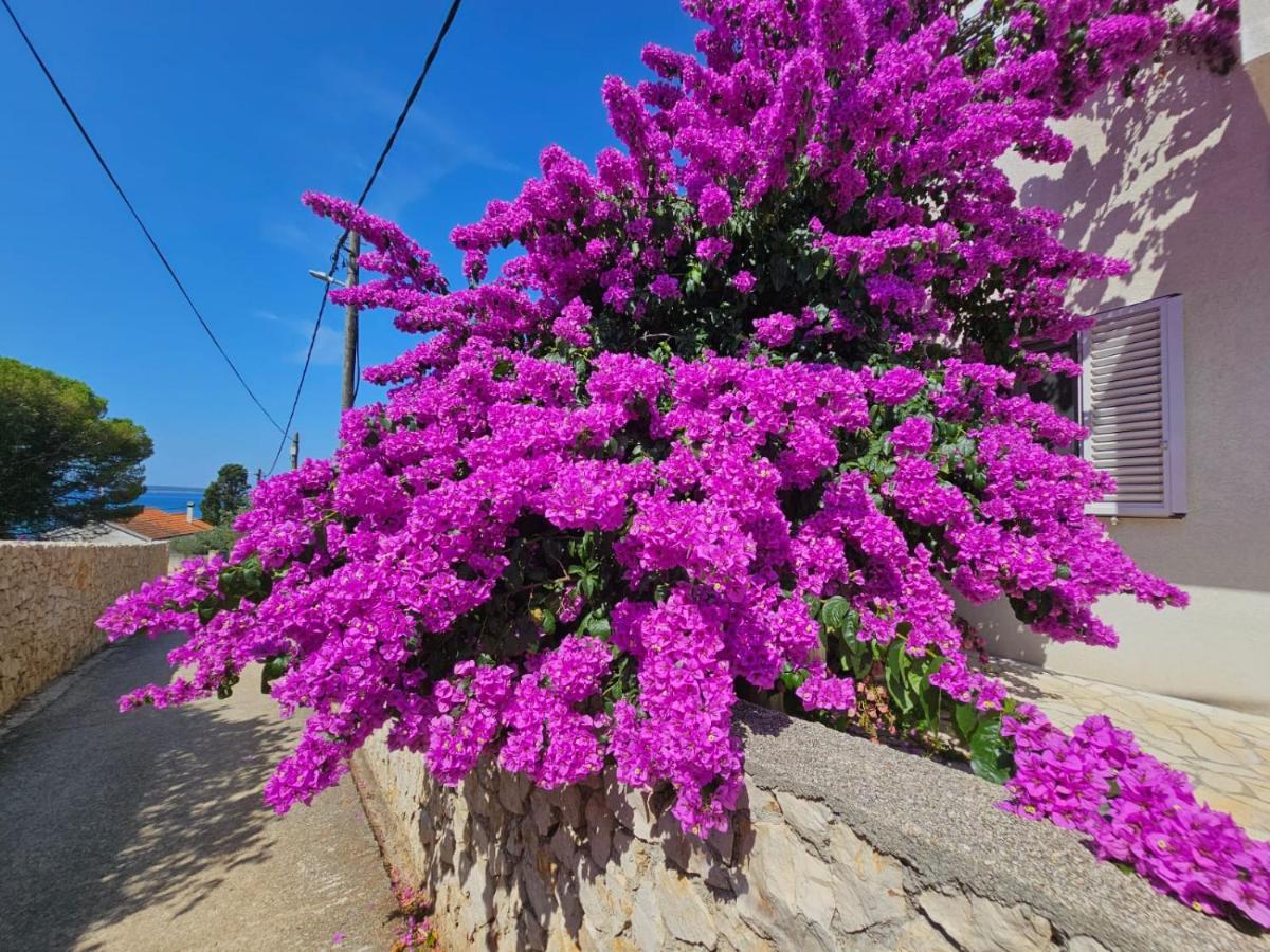 Silba Belvedere Dış mekan fotoğraf